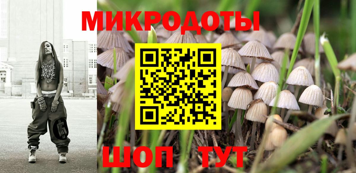 Псилоцибиновые грибы мицелий  Вход с VPN  Ковров  Псилоцибиновые грибы GOLDEN TEACHER 